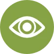 Curiosidade